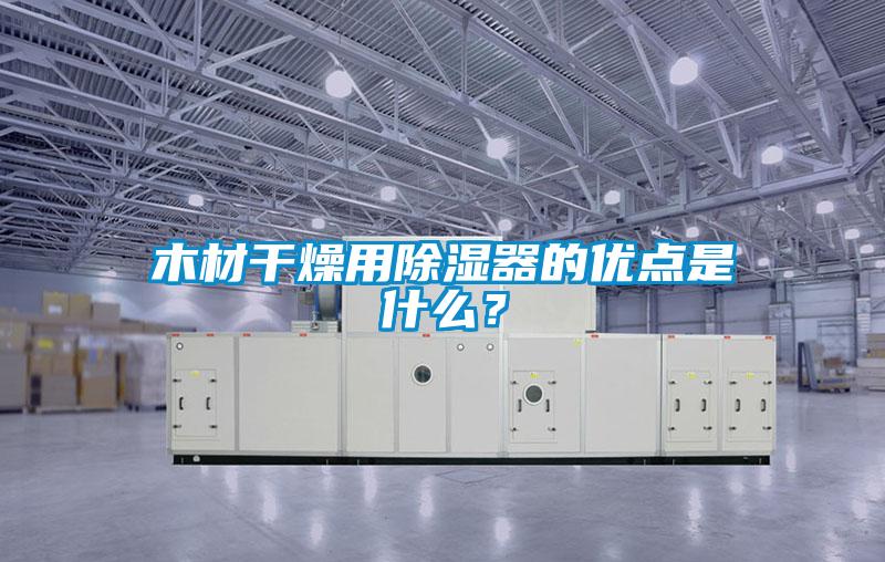 木材干燥用除濕器的優點是什么？