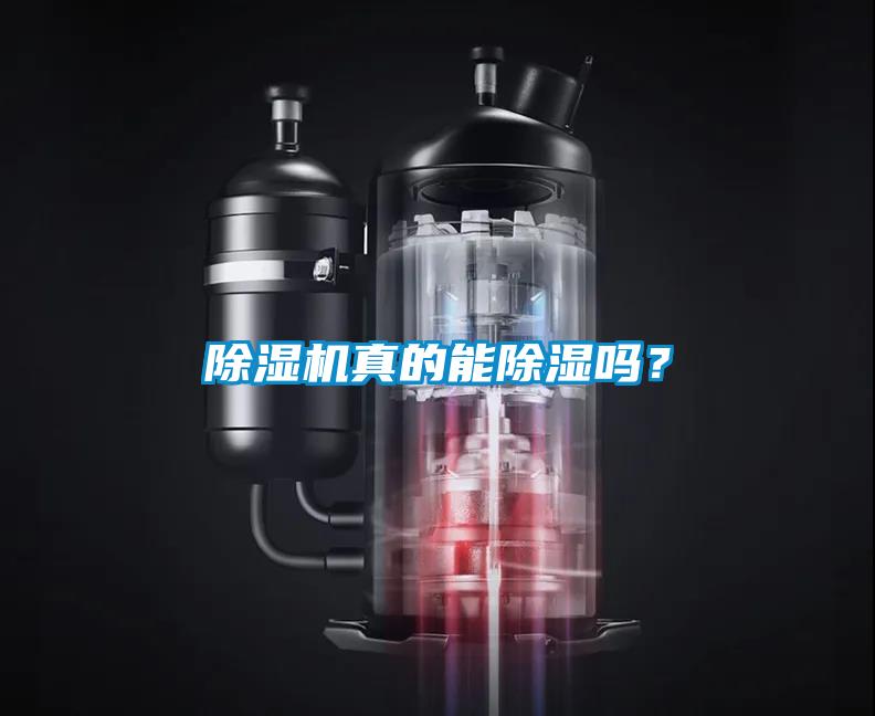 除濕機真的能除濕嗎？