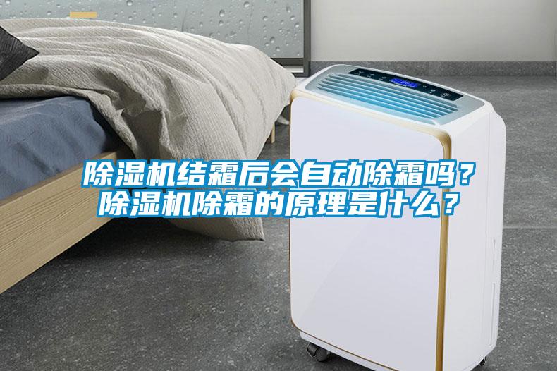 除濕機結霜后會自動除霜嗎？除濕機除霜的原理是什么？