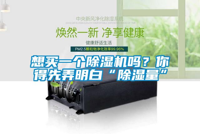 想買一個除濕機嗎？你得先弄明白“除濕量”