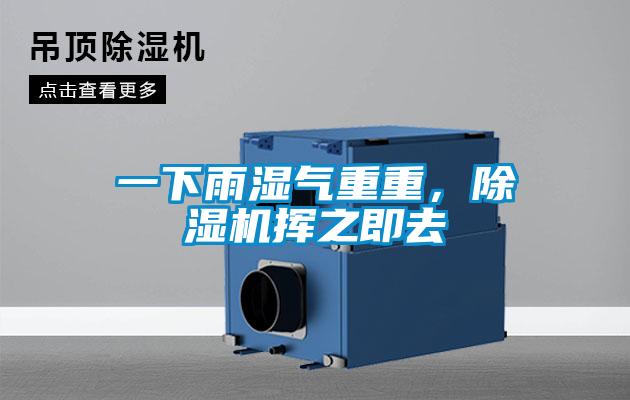 一下雨濕氣重重，除濕機揮之即去