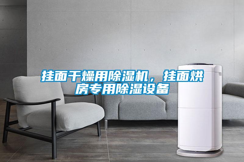 掛面干燥用除濕機，掛面烘房專用除濕設備