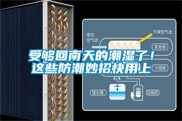 受夠回南天的潮濕了！這些防潮妙招快用上