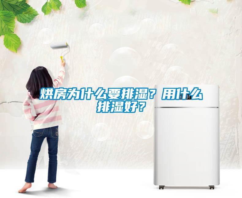 烘房為什么要排濕？用什么排濕好？