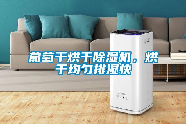 葡萄干烘干除濕機，烘干均勻排濕快