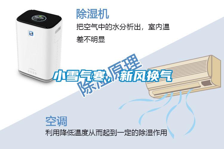 小雪氣寒，新風換氣