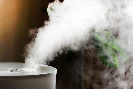 對抗梅雨季節潮濕，家用除濕機為您解決煩惱！