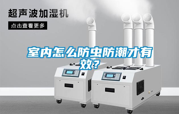 室內怎么防蟲防潮才有效？