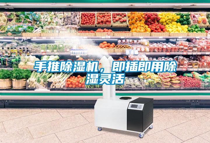 手推除濕機，即插即用除濕靈活