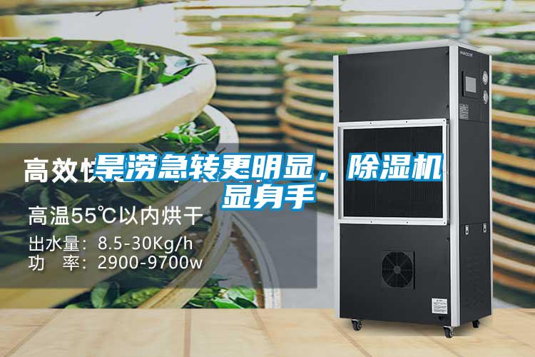 旱澇急轉更明顯，除濕機顯身手