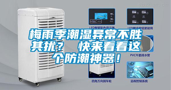 梅雨季潮濕異常不勝其擾？ 快來看看這個防潮神器！