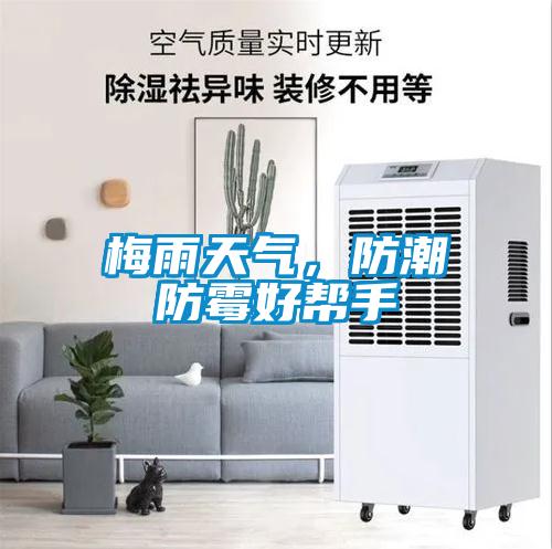 梅雨天氣，防潮防霉好幫手