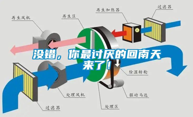 沒錯，你最討厭的回南天來了！