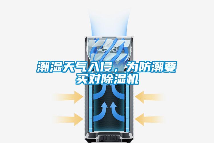 潮濕天氣入侵，為防潮要買對除濕機
