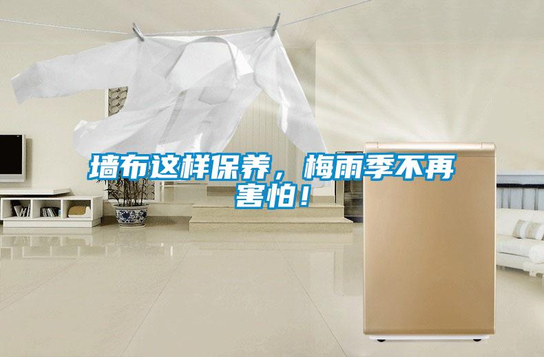 墻布這樣保養，梅雨季不再害怕！