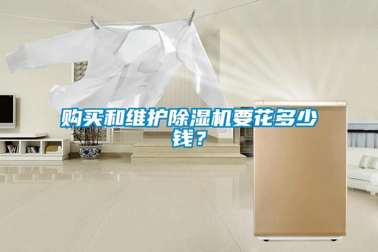 購買和維護除濕機要花多少錢？