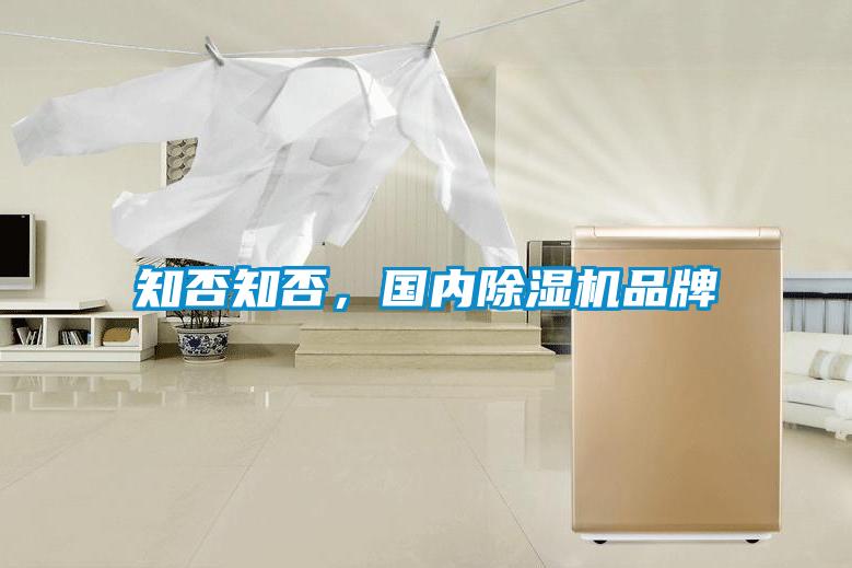 知否知否，國內除濕機品牌