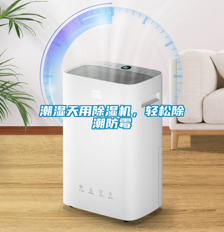 潮濕天用除濕機，輕松除潮防霉