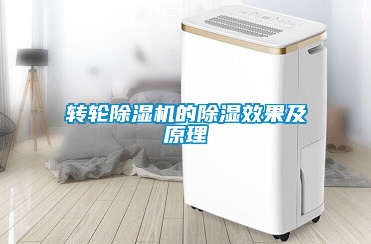 轉輪除濕機的除濕效果及原理