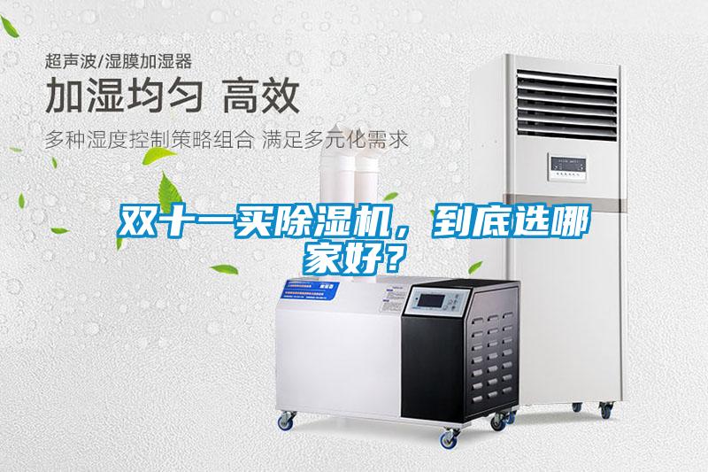 雙十一買除濕機，到底選哪家好？