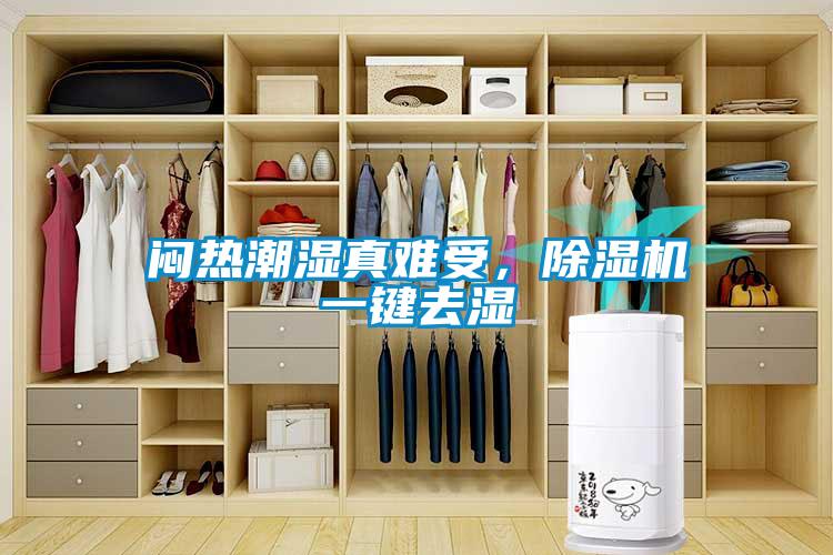 悶熱潮濕真難受，除濕機一鍵去濕