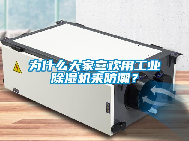 為什么大家喜歡用工業除濕機來防潮？