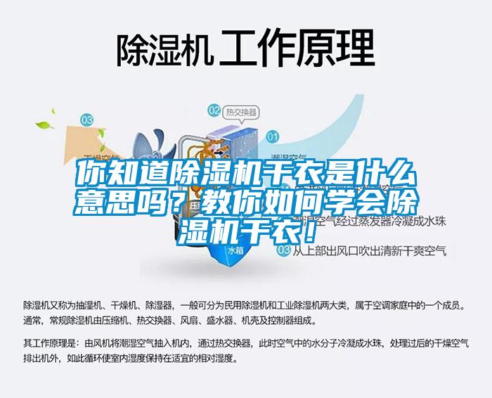 你知道除濕機干衣是什么意思嗎？教你如何學會除濕機干衣！