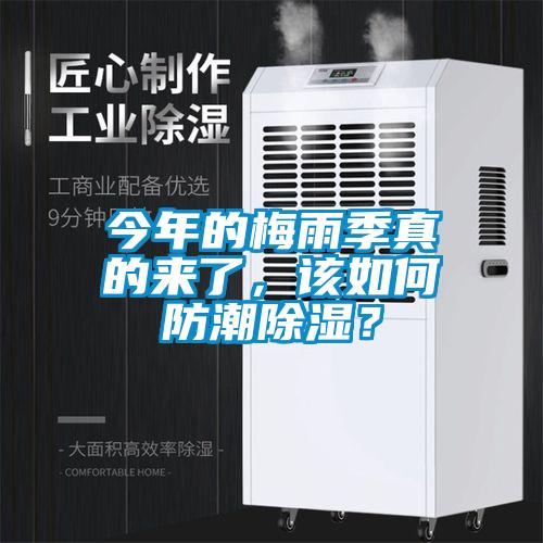 今年的梅雨季真的來了，該如何防潮除濕？
