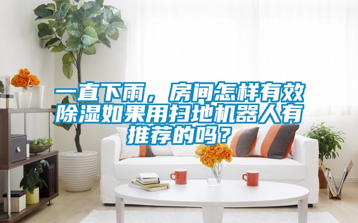 一直下雨，房間怎樣有效除濕如果用掃地機器人有推薦的嗎？
