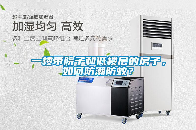 一樓帶院子和低樓層的房子，如何防潮防蚊？