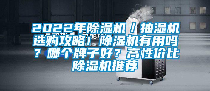 2022年除濕機／抽濕機選購攻略！除濕機有用嗎？哪個牌子好？高性價比除濕機推薦