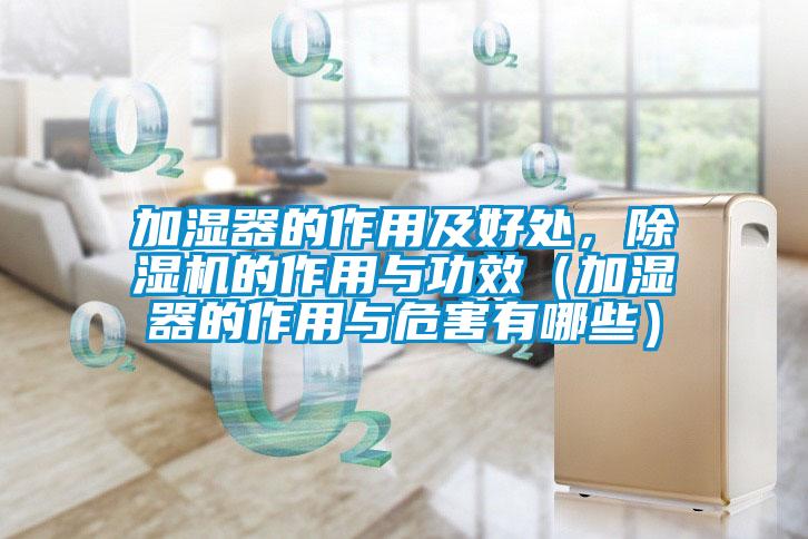加濕器的作用及好處，除濕機的作用與功效（加濕器的作用與危害有哪些）
