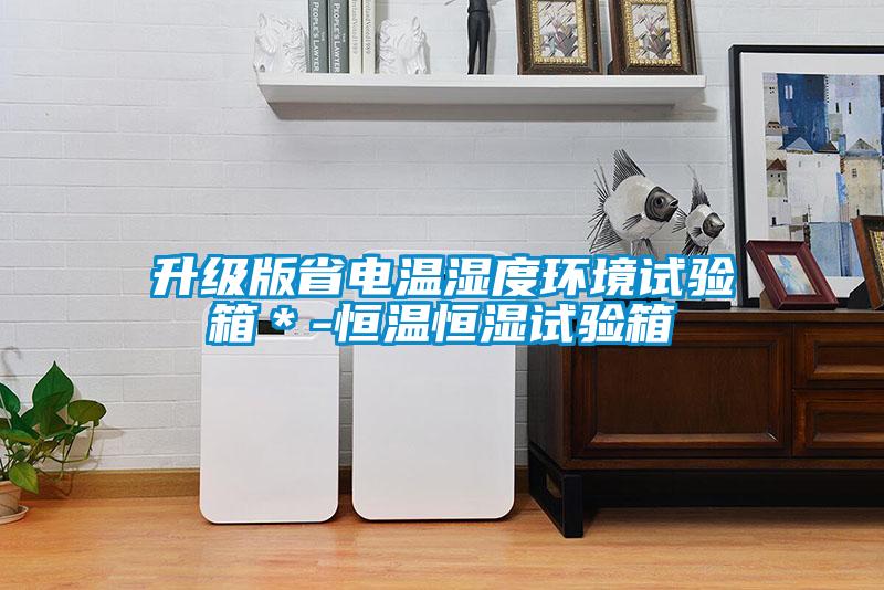 升級版省電溫濕度環境試驗箱＊-恒溫恒濕試驗箱