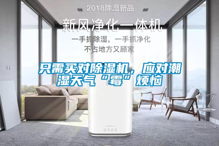 只需買對除濕機，應對潮濕天氣“霉”煩惱