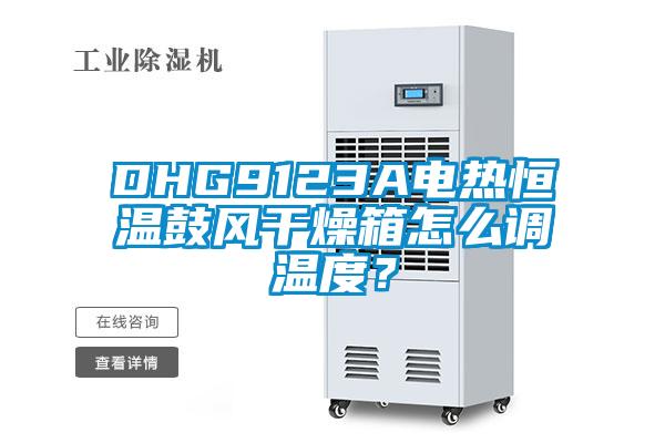 DHG9123A電熱恒溫鼓風干燥箱怎么調溫度？