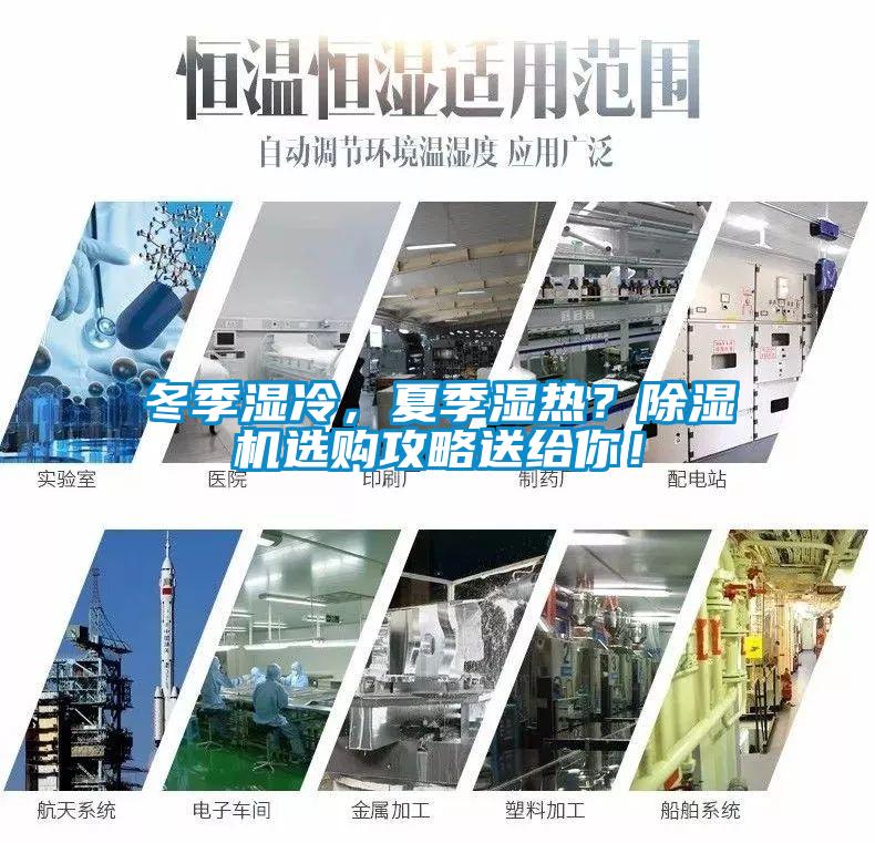 冬季濕冷，夏季濕熱？除濕機選購攻略送給你！