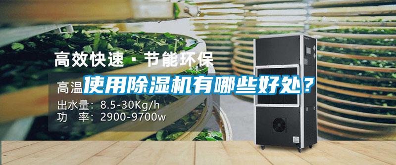 使用除濕機有哪些好處？