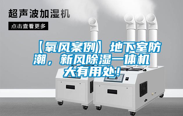 【氧風案例】地下室防潮，新風除濕一體機大有用處！