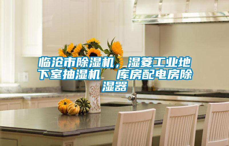 臨滄市除濕機，濕菱工業地下室抽濕機  庫房配電房除濕器
