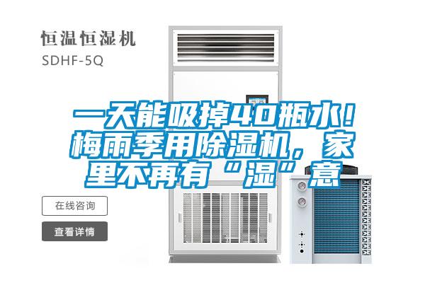 一天能吸掉40瓶水！梅雨季用除濕機，家里不再有“濕”意