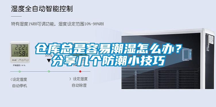 倉庫總是容易潮濕怎么辦？分享幾個防潮小技巧