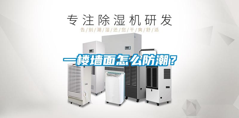 一樓墻面怎么防潮？
