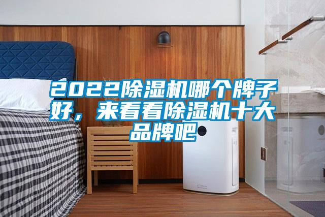 2022除濕機哪個牌子好，來看看除濕機十大品牌吧