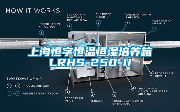 上海恒字恒溫恒濕培養箱LRHS-250-II