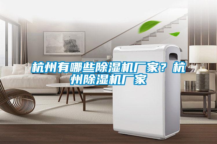 杭州有哪些除濕機廠家？杭州除濕機廠家