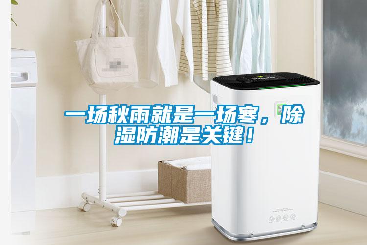一場秋雨就是一場寒，除濕防潮是關鍵！