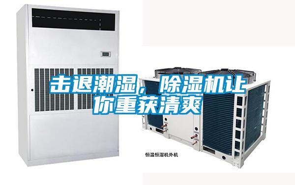 擊退潮濕，除濕機讓你重獲清爽