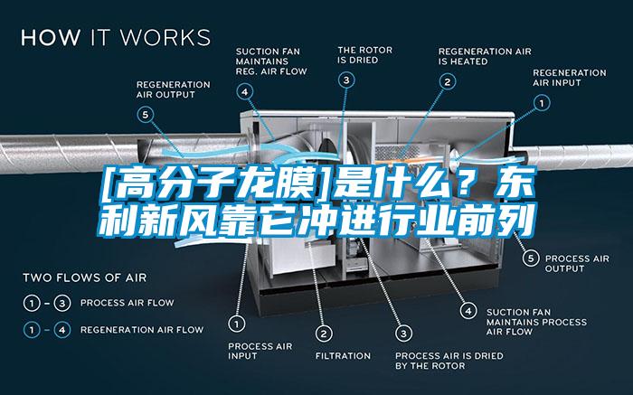 [高分子龍膜]是什么？東利新風靠它沖進行業前列
