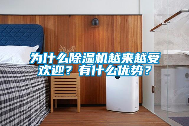 為什么除濕機越來越受歡迎？有什么優勢？
