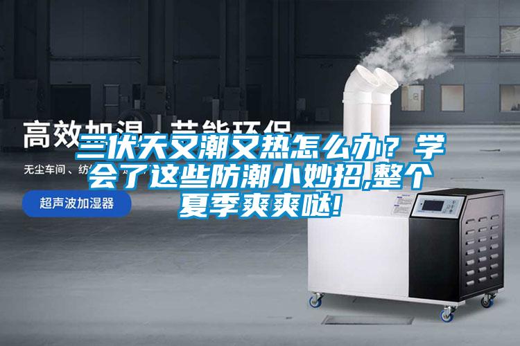 三伏天又潮又熱怎么辦？學會了這些防潮小妙招,整個夏季爽爽噠!